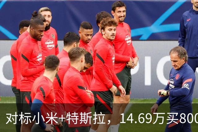 对标小米+特斯拉，14.69万买800公里续航！