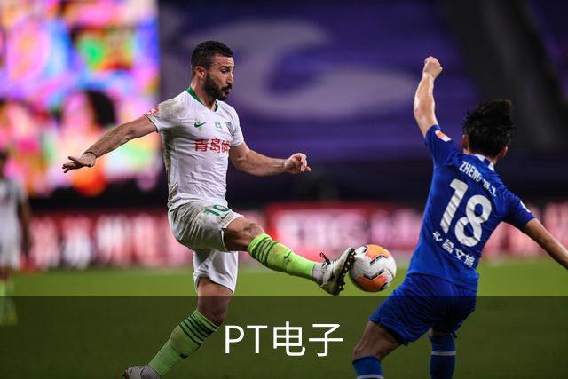 PT电子企业介绍图